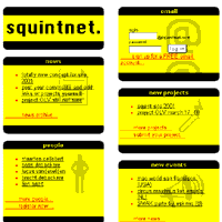 20011 - squintnet